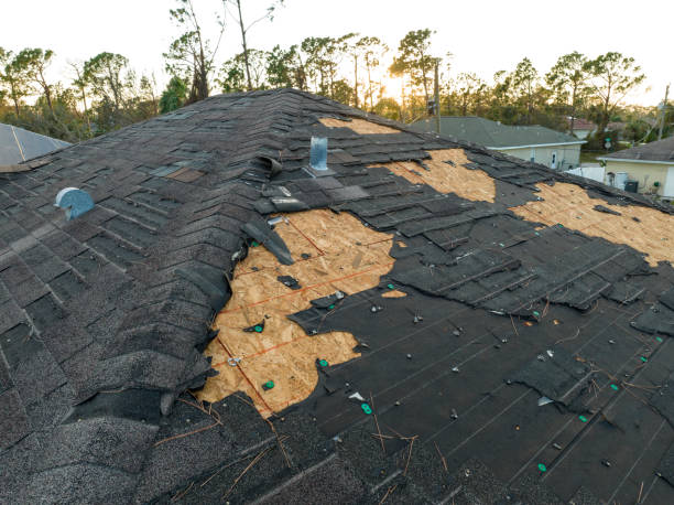 Best Commercial Roofing Services  in Knightstown, IN